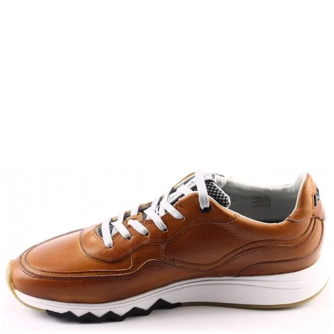 FLORIS VAN BOMMEL SFM10094 NINETI SNEAKERS BRUIN
